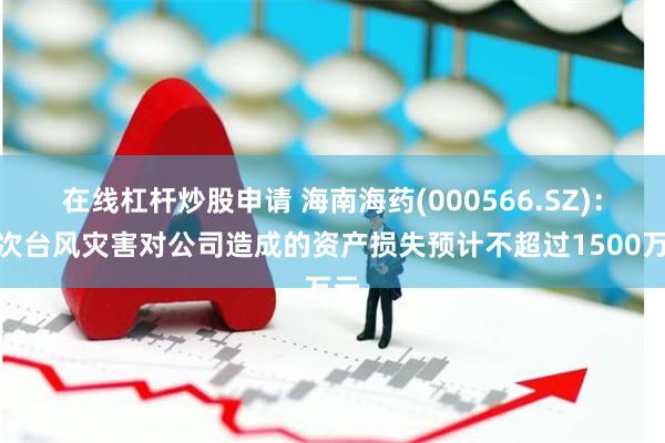 在线杠杆炒股申请 海南海药(000566.SZ)：本次台风灾害对公司造成的资产损失预计不超过1500万元