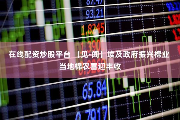 在线配资炒股平台 【见·闻】埃及政府振兴棉业 当地棉农喜迎丰收