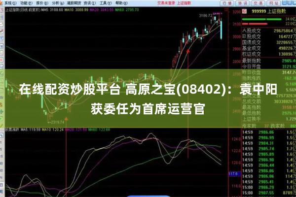 在线配资炒股平台 高原之宝(08402)：袁中阳获委任为首席运营官