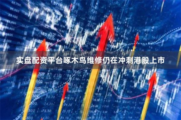 实盘配资平台啄木鸟维修仍在冲刺港股上市