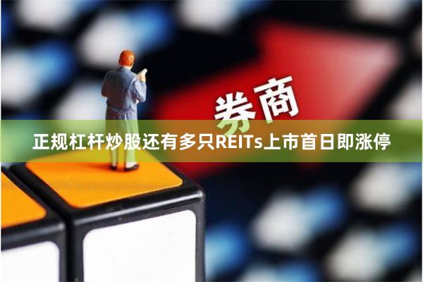 正规杠杆炒股还有多只REITs上市首日即涨停